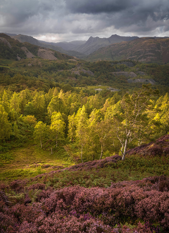 Holme Fell Transitory Light