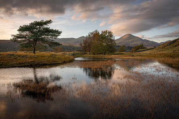 Kelly Hall Tarn - Autumn Mood