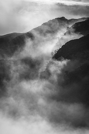 Loughrigg Abstract Mists