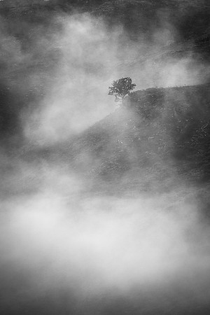Loughrigg Abstract Mists II