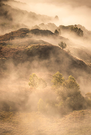 Loughrigg Misty Layers