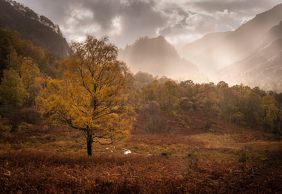 Borrowdale Autumn Mood
