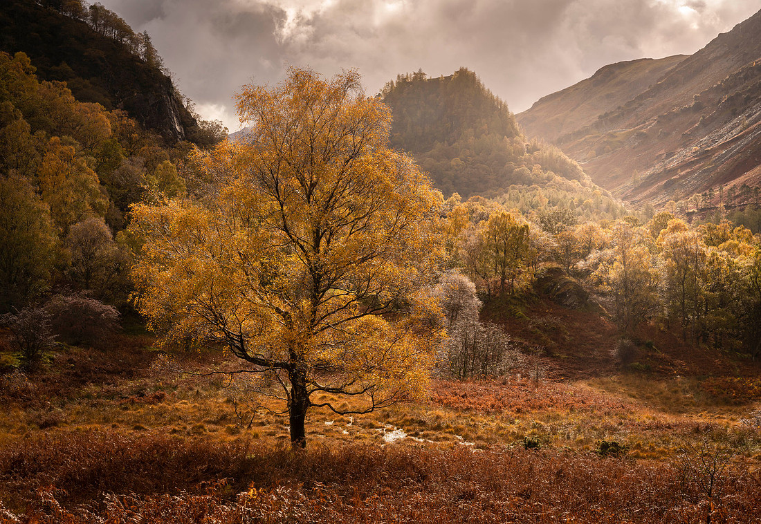 Borrowdale colour