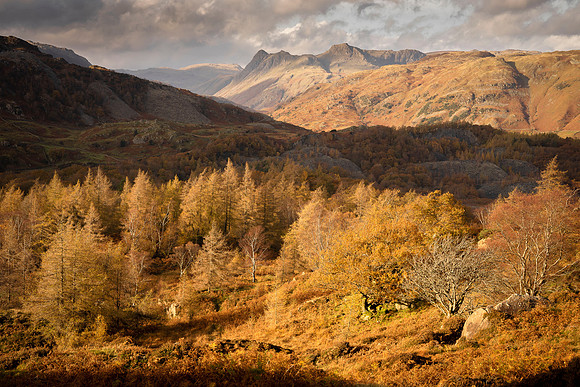 Holme Fell - Autumn Views