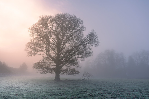 Ashness Mists II