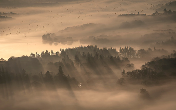 Misty Migrations