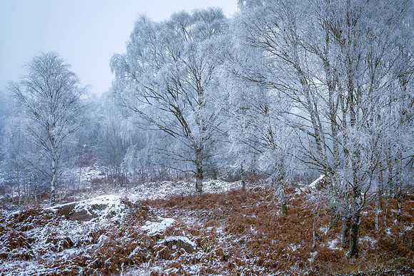 Blawith Common Hoar Frost