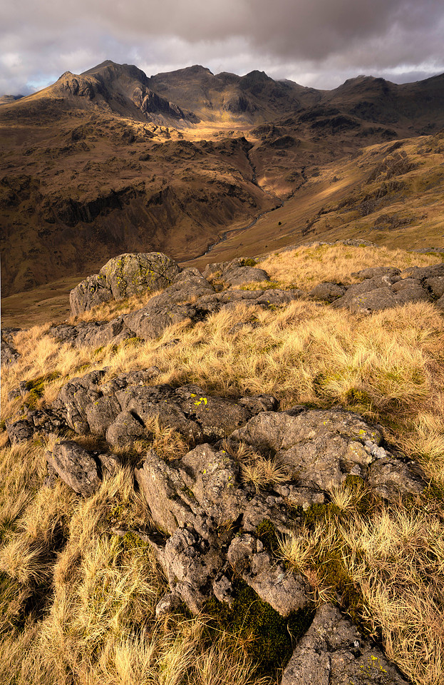 Border End - Scafell View