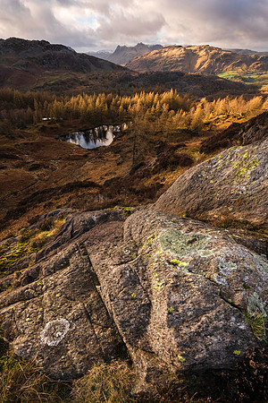 Holme Fell - Spring Splashes