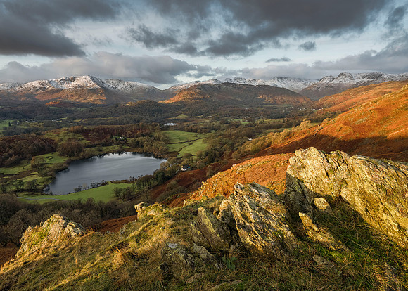 Loughrigg Fell - Winter Gold