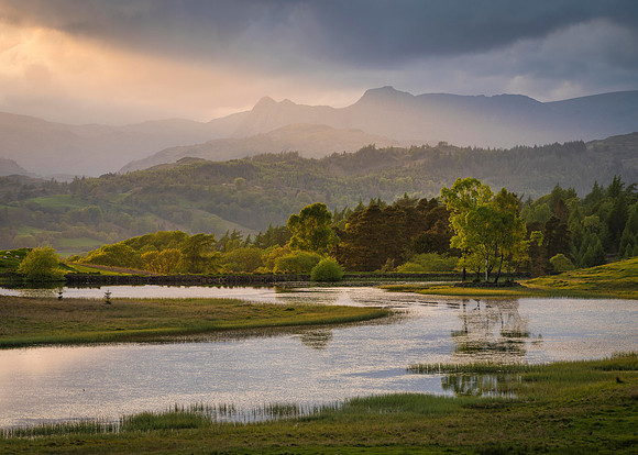 Wise Een Tarn - Spring Moods