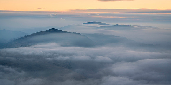 Western Mists
