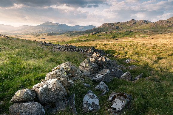 Birker Fell Summer Gold