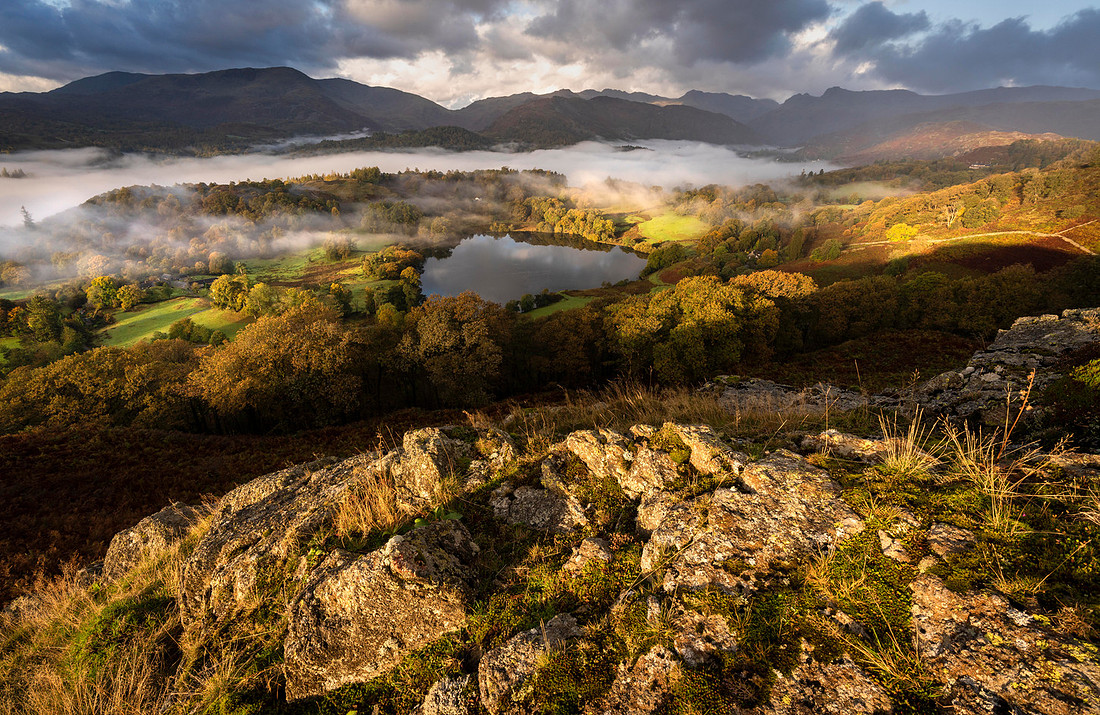 Lough blogg
