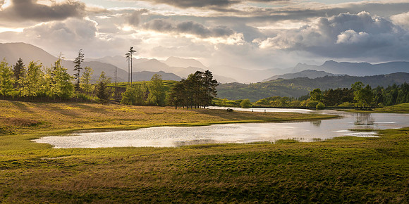 Wise Een Tarn - Spring Light