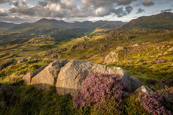Hardknott Heather