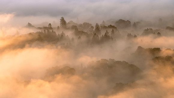 Skelwith Fold Morning Mists