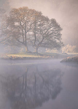 The Old Oak - Brathay Mists