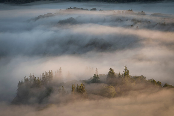 Misty Lakeland Layers