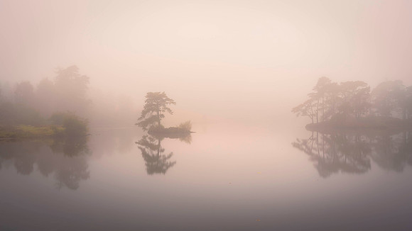 Tarn Hows misty Pastels