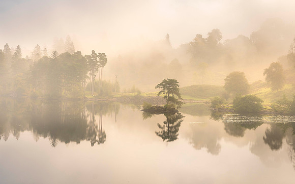 Tarn Hows Light