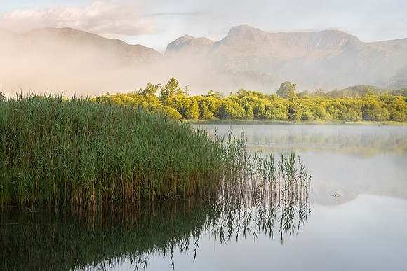 Elterwater - Summer Soft
