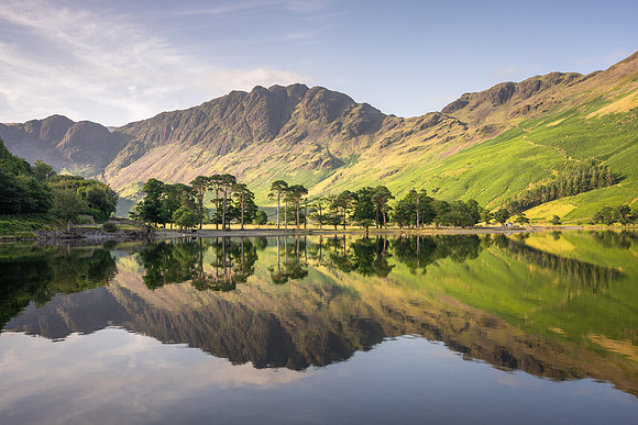 Buttermere Pines