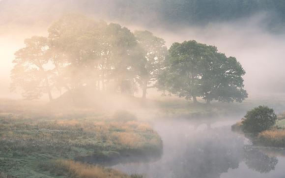 The Old Oak - Brathay Mists