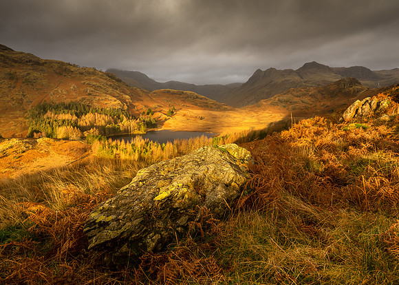 Blea Tarn and Great Langdale - Breaking light