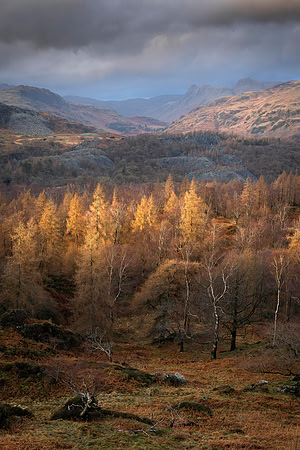 Holme Fell - Breakthrough