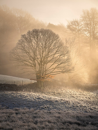 Brathay Frosty Morning