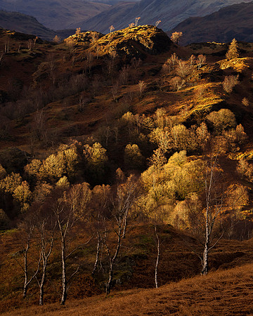 Holme Fell Gold