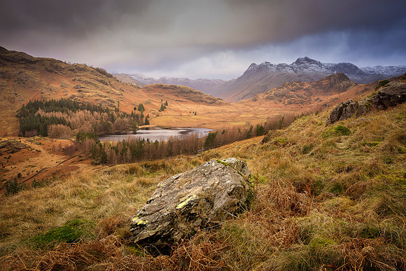 Birk Knott - Great Langdale Winter View
