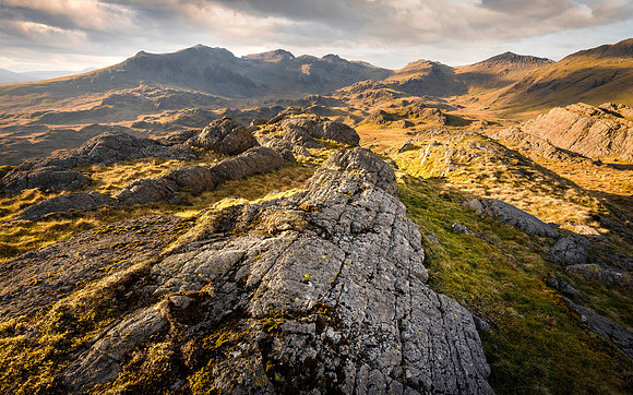 Hardknott Fell Gold