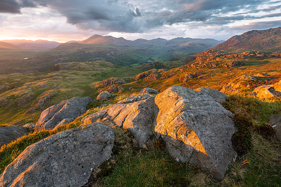 Crook Crag Summer Gold