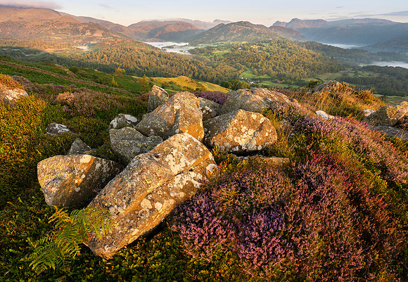 Langdale Heather